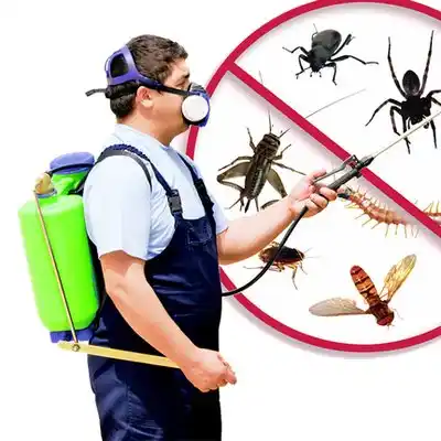 pest control Pierre Part